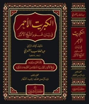 709152 Ismaeel Books
