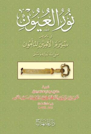 718040 Ismaeel Books