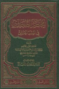 شرح مختصر الطحاوي