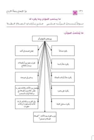 نور الإيضاح مع تكملة العبادات ( طبعة مشجرة ) - Image 4