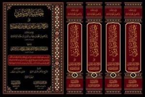 حاشية البرماوي على شرح ابن قاسم الغزي على متن ابي شجاع 4/1
