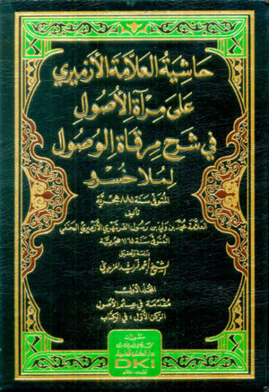 حاشية الأزميري على مرآة الأصول في شرح مرقاة الوصول لملا خسرو 1/4