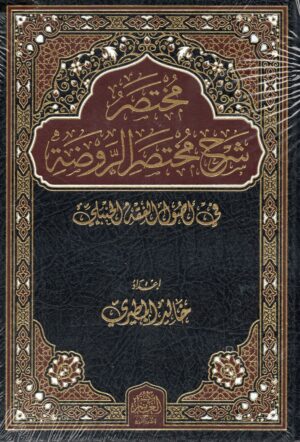 مختصر شرح مختصر الروضة